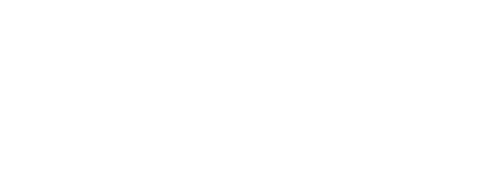 King Car Rental
