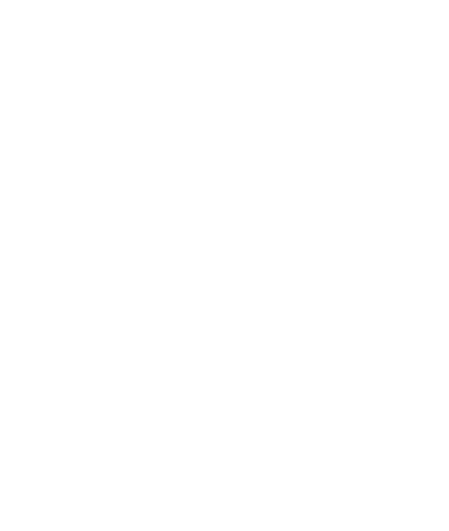 King Car Rental